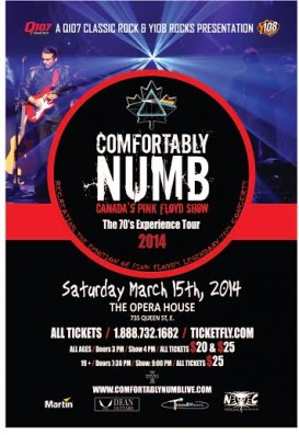 Comfortably Numb Pink Floyd Tribute