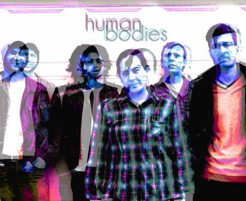 Human Bodies