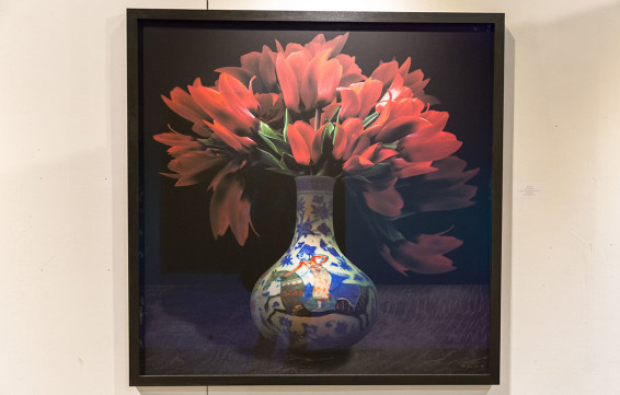 A Botanical Art Exhibition by TM Glass