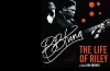 BB-King