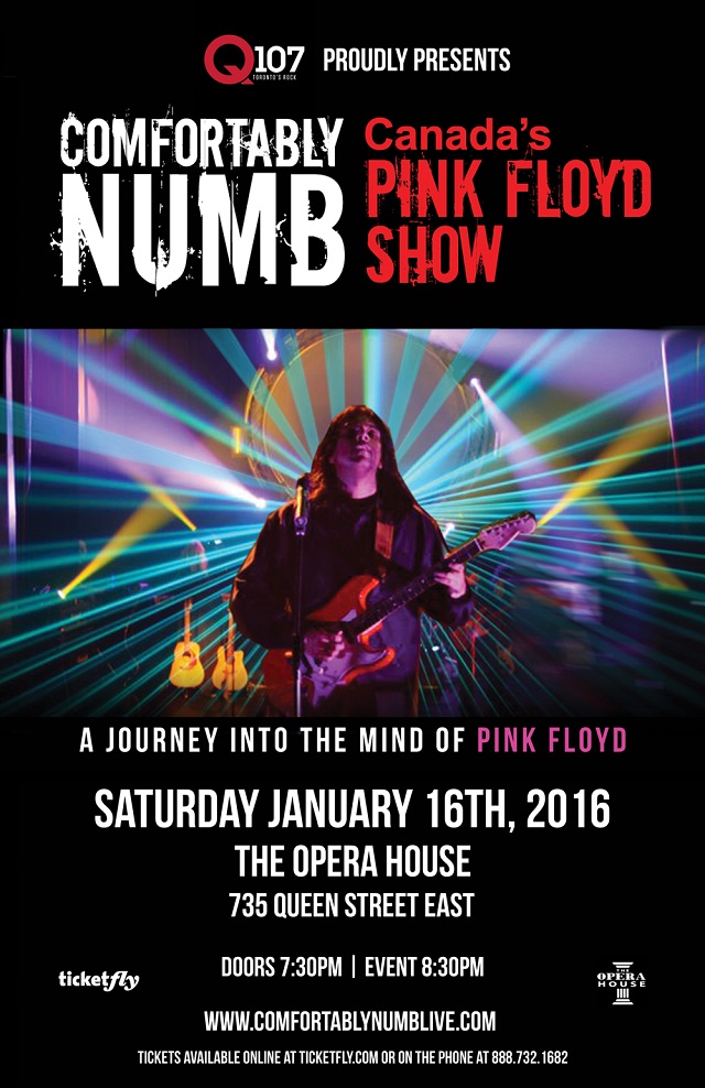 comfortably-numb-2016-contest-and-show-announcement