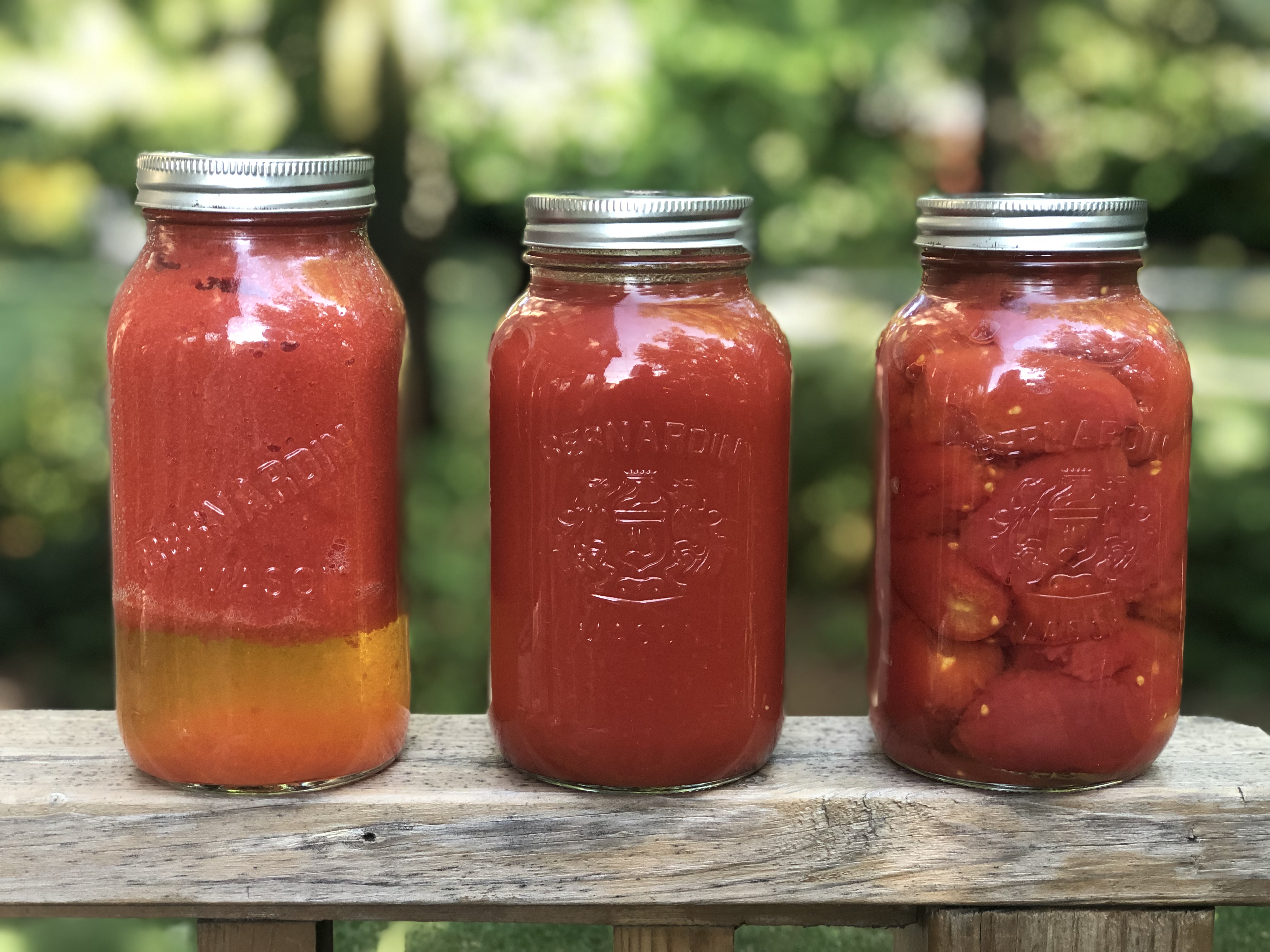 Canning tomatoes is easy. Comparing Jars